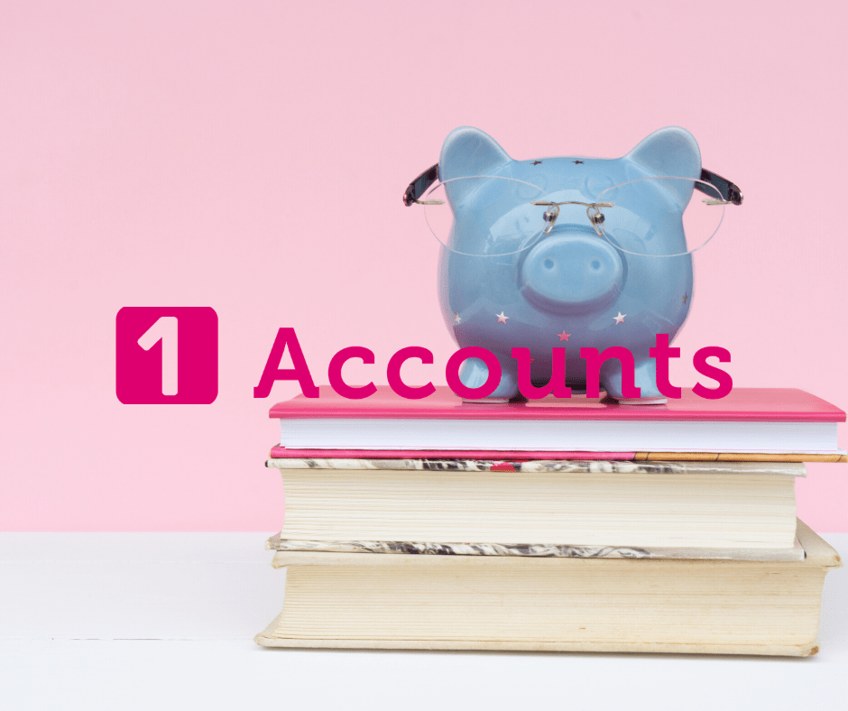 1 Accounts Piggy Bank on books