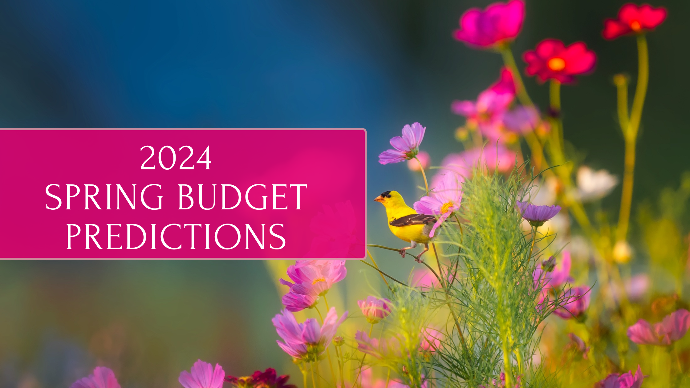 Our Spring Budget Predictions